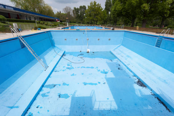 Best Mold removal after water damage  in Bayview, CA