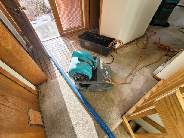 Best Carpet water damage restoration  in Bayview, CA