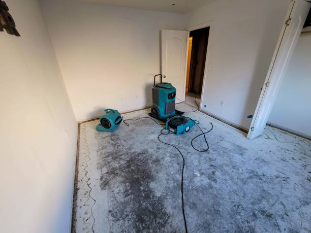 Best Local water damage restoration  in Bayview, CA