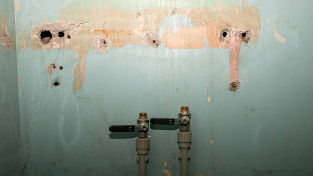 Best Water damage cleanup near me  in Bayview, CA