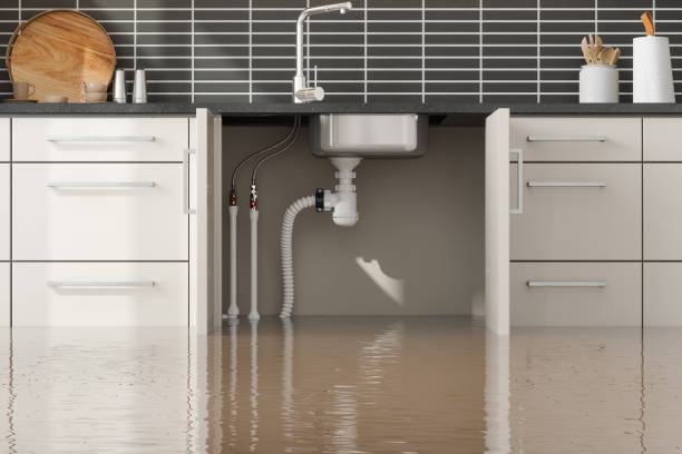 Best 24/7 water damage repair  in Bayview, CA