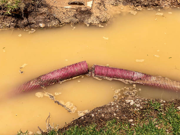 Best 24-hour water damage restoration  in Bayview, CA